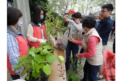 【大成報記者何秀菁／南投報導】林務局南投林區管理處12日延續植樹節傳統舉辦捐發票換樹苗活動，除現場送出13,200株原生種樹苗外，還邀請仁愛高農森林科、中興大學附設農校、臺灣大學實驗林管理處、特有生物保育中心及中興大學森林系等中部5大教育及學術單位加入推廣國產材，吸引不少民眾參加。