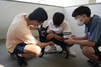 中興大學USR計畫「浪愛無國界：流浪動物減量與福祉實踐」開設「寵物義診」通識課程