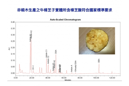 證實此新穎的生產技術所培養之牛樟芝含豐富的樟芝酸，可抑制引起「嚴重特殊傳染性肺炎」的冠狀病毒感染之血管收縮素轉化酶2 (Angiotensin-converting enzyme 2；ACE2)表現，研究成果8月刊登於Q1 期刊《植物》（Plants）。