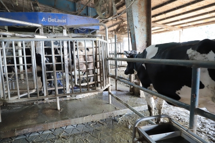 NCHU Animal Experiment Station Earns Animal Welfare Certification