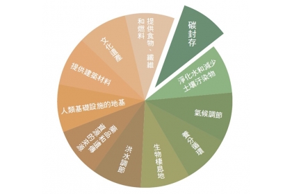 土壤功能示意圖。(資料來源／聯合國糧農組織FAO)