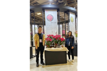 聖誕紅新品種開發團隊