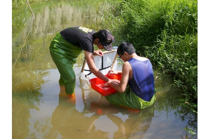 研究團隊在野外調查以蘇伯氏水網採集水生昆蟲。
