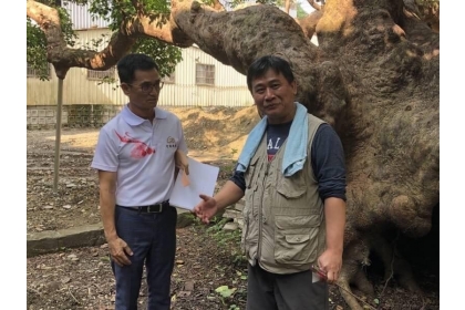 中興大學園藝系副教授劉東啟（右）前天檢查後發現，埔里茄苳樹王公健康狀況並不佳。圖／議員林芳伃提供