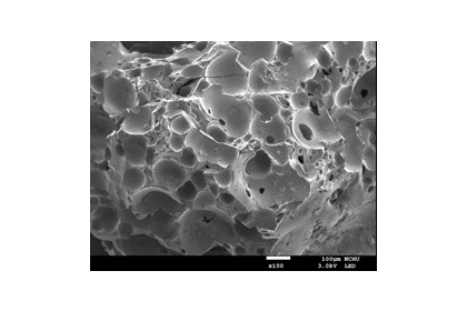 多孔材之電子顯微鏡影像。圖/國立中興大學環境工程學系張書奇副教授提供