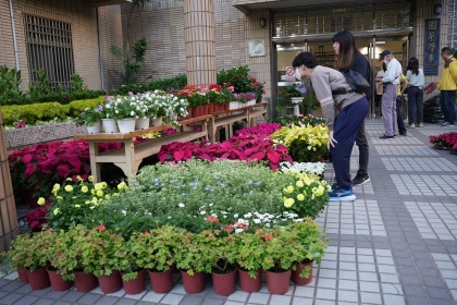 展場展售各式盆栽。