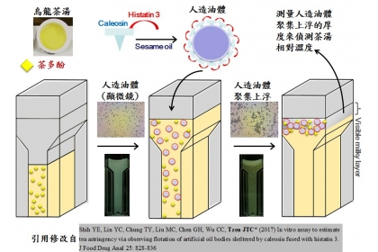 此新型人造油體可模擬口腔中唾液小胜肽與茶多酚結合，導致人造油體聚集而加速上浮，測量上浮人造油體所疊出的厚度，即可估測茶湯相對澀感。