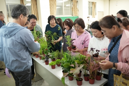 講座介紹適合陽台栽種的植物