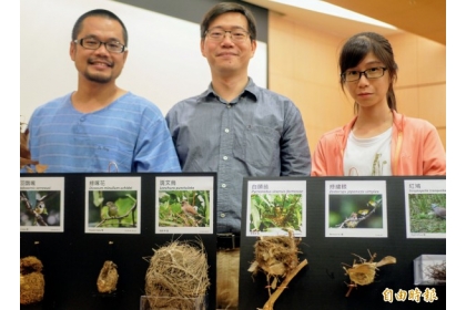 中央研究院生物多樣中心助研究員洪志銘（左）、端木茂甯（中）與中興大學生命科學系大學生方怡婷（右）登上國際期刊。（記者簡惠茹攝）