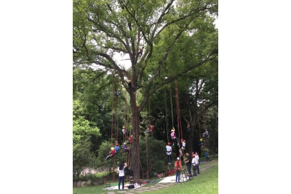 極富挑戰性的攀樹（Tree climbing）課程，是興大蕙蓀林場超人氣的營隊挑戰運動。圖／興大提供