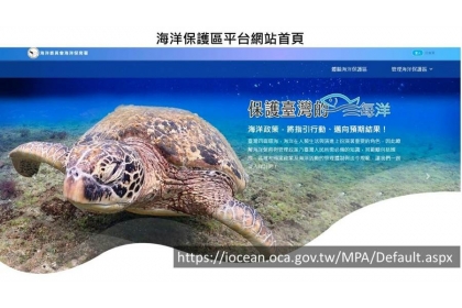 台灣豐富海洋生態，也能看得到海龜。（圖取自海洋保育網官網）