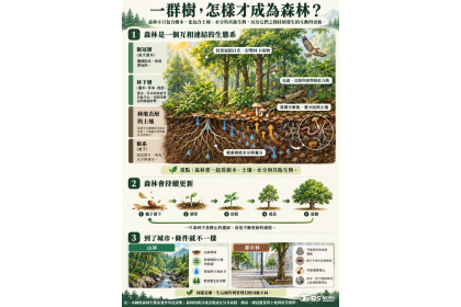山林到都市林，重新理解樹木與環境的關係。（圖／AI 輔助生成）