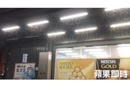 成千上萬的台灣家白蟻，在全聯外頭聚集，讓不少民眾看到，頭皮直發麻。讀者提供