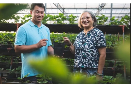 中興大學園藝學系教授宋妤（右）將根溫控制技術，引入青農黃文慶經營的沐光農場，進行溫室草莓的試驗。