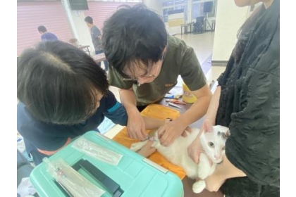 獸醫團隊於現場替犬貓進行健康檢查、施打疫苗與相關診療,醫療人員細心處置,讓飼主安心就醫。(圖/文:鄭禮頤)