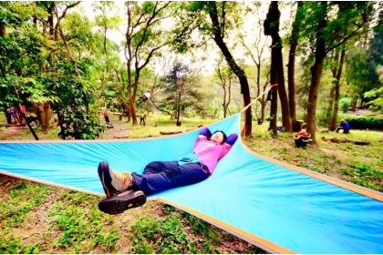 安全的攀樹活動，還可以在樹上搭床午睡。圖/許月萍提供