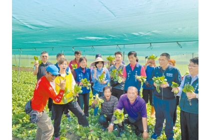 新冠肺炎疫情重創國內農牧產業，有學者建議政府趁機提早善產銷體質。圖為雲林縣長張麗善（第二排左四）勘查西螺菜園。（周麗蘭攝）