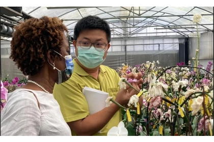 台大蘭園賴經理，正在說明蘭花如何育種。  Photo Credit：陳加忠教授提供