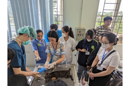 Instructing veterinarians at local animal hospitals to perform intubation while protecting animal welfare.