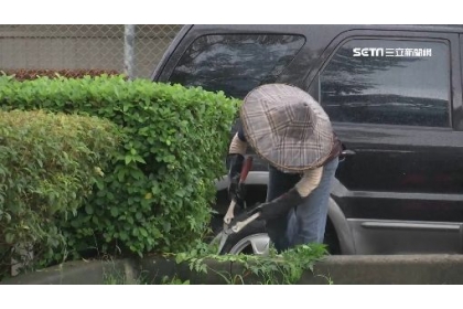 ▲太平區公所修剪樹枝人員冒著雨修剪樹枝。