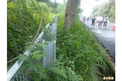 道路周邊設置圍網，引導動物置動物廊道在通過馬路。（記者鄭瑋奇攝）