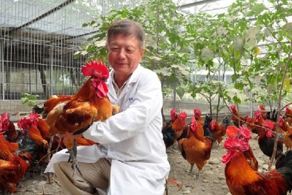 土雞保種的30年漫漫長路，創造臺灣的基因寶庫