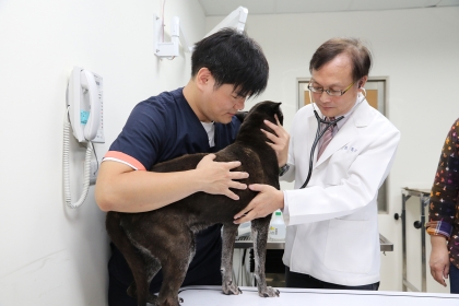 興大獸醫系副教授林荀龍（右）成立浪浪醫療室幫流浪動物看診