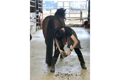 興大獸醫系特殊選才新生鍾宇柔高中時期至台灣馬術治療中心實習