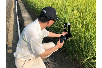 中興大學工學院院長楊明德親身參與「水稻小幫手」軟硬體研發，要讓農友拍攝稻穗照片上傳，就能判斷稻穀含水率及收割時機。（圖片來源／AIPal團隊提供）