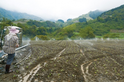 地球上有5個天然碳庫，依碳存量從高到低為海洋、化石、土壤、大氣、陸上生物，顯示泥土照顧對了，固碳潛力很大。(攝影∕余麗姿)