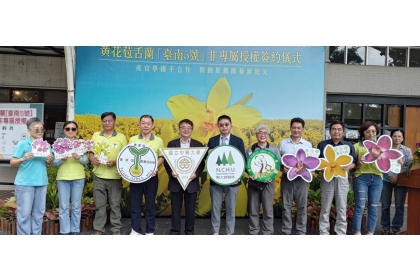 台南農改場育成黃花苞舌蘭「台南五號」，攜手中興大學推廣景觀新品種。(記者黃文記攝)