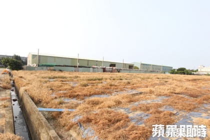 學者憂心農地違章工廠的空污問題。資料照片