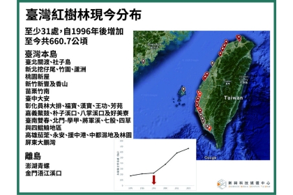 台灣擁有廣大的紅樹林，可做為減碳資產。新興科技媒體中心提供。(註：林幸助更新資料為681公頃)