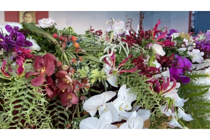 中興大學園藝系-常春藤新品種「皮卡啾」再登國慶舞臺 