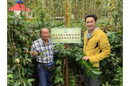 中興大學新化林場場長吳佾鴻（右）前往東山老農民陳天財的咖啡園，該場推出的「興大76號森林咖啡」，生豆都來自台南東山區海拔650公尺左右的山區。記者吳淑玲／攝影