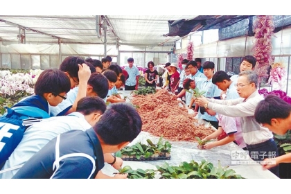 農業師傅余明澄教學生如何培養蘭花。（許素惠攝）