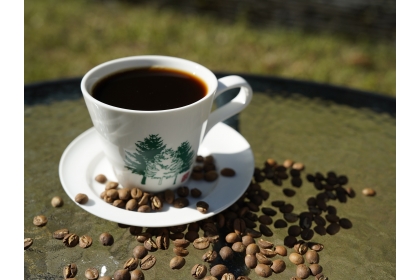 NCHU’s Coffee Beans from the Huisun Experimental Forest Station Become the World’s Only Coffee Product to Achieve Full FSC Chain-of-Custody Certification