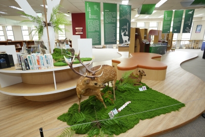 中興大學自然史博物館則展出栩栩如生的梅花鹿標本,生存在臺灣海洋到陸地6種螃蟹