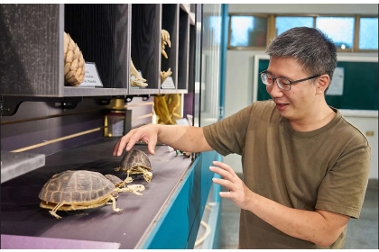 鄭任鈞助理教授接手食蛇龜保育計畫，要為復育食蛇龜而努力。