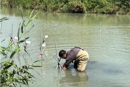 永豐餘推動台灣首例濕地碳匯實驗提升計畫啟動，科學調查植物分解量。圖／永豐餘提