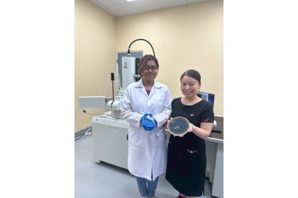 中興大學研究團隊開發雙柵極二維電晶體