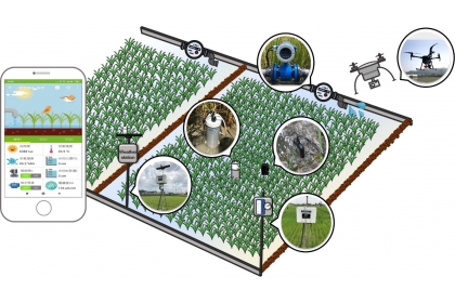 圖1、智能感測器於田間應用模型圖，透過手機接收田間即時資訊