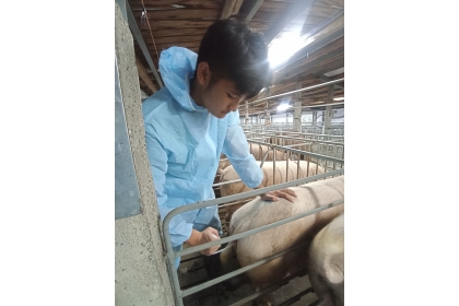 尹凡尤勞高中至豬場實習，引發他對動物營養學的興趣