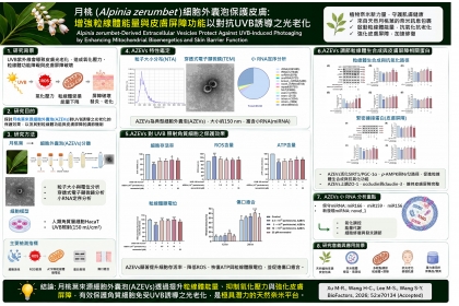 月桃葉研究成果示意圖