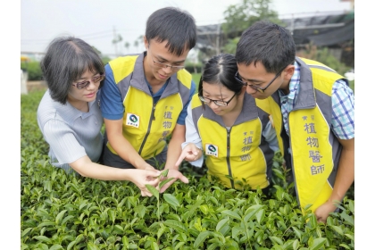 中興大學植物教學醫院10月16日在南投名間鄉瑞成茶廠舉辦「名間鄉茶葉友善防治推廣」活動。