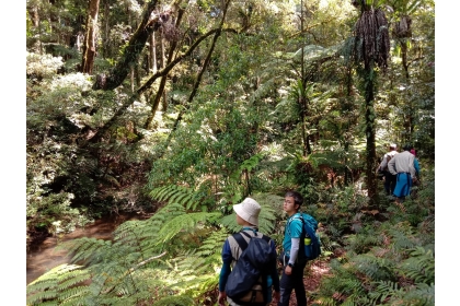 興大昆蟲學系蕭昀助理教授在澳洲留學相關野外調查照片。