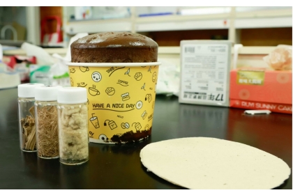 香蕉纖維製成的BPU發泡體與香蕉纖維紙。攝影／陳永叡