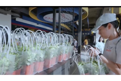 「國產花卉見證MVP榮耀」活動致贈由興大園藝學系陳彥銘副教授研發團隊，自育的常春藤專利品種〈皮卡啾 ‘Pikaju’〉盆花給現場觀眾與嘉賓。