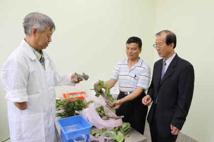 謝姓農民（中）帶生病果樹到植物教學醫院，興大昆蟲學系唐立正教授（左）、興大植物教學醫院院長楊秋忠（右）現場看診