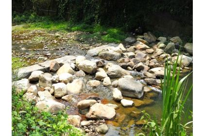 Rupturing the creek’s weirs has been a key element in the rewilding project. Photo: Steven Crook